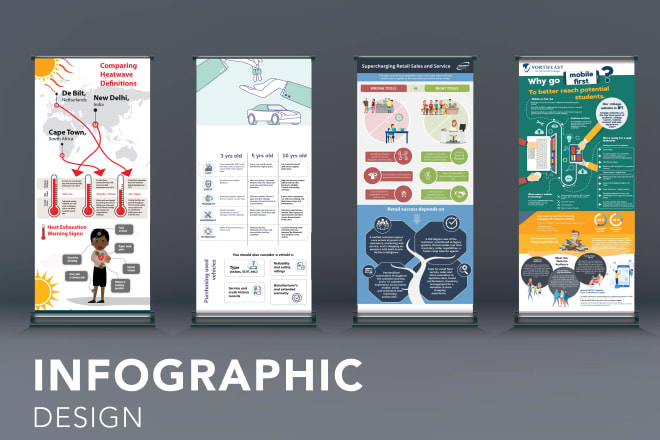 I will make stunning, professional and beautiful infographics