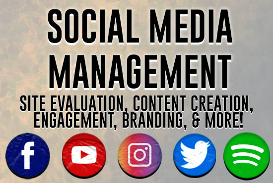 I will manage your social media site