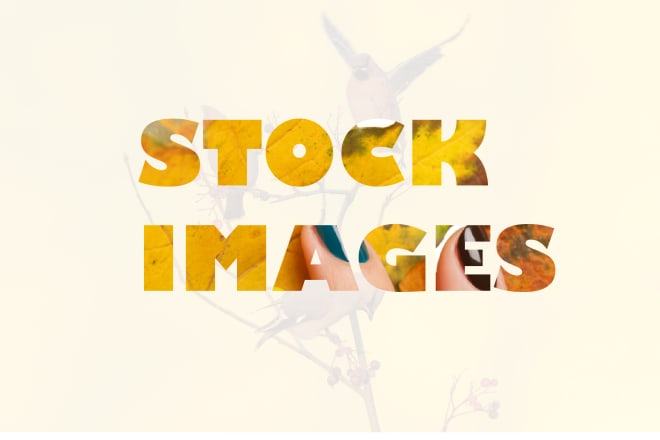 I will provide HD royalty free stock images of your choice