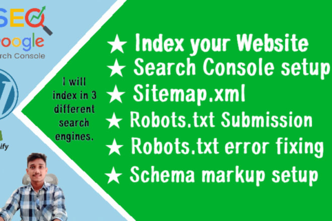 I will provide technical seo service with schema markup