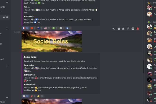I will set up a professional discord server quick and cheap