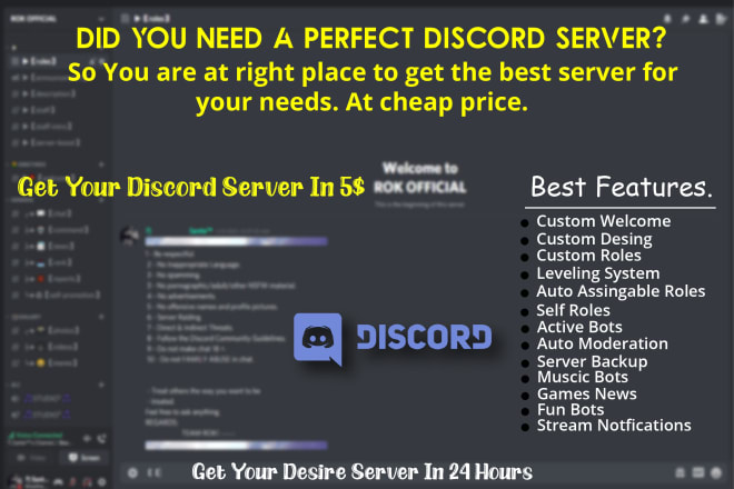 I will set up a professional discord server within 24 hours
