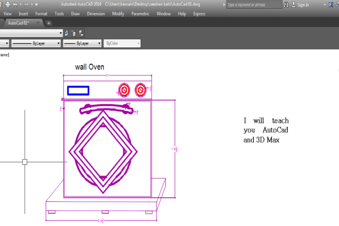 I will teach you autocad and 3dmax online