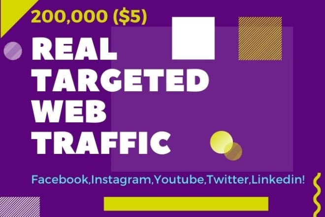 I will website real targeted web traffic facebook, instagram, youtube,twitter,linkedin