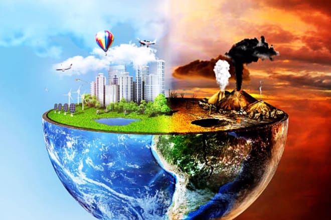 I will write environmental, management, and sustainability reports