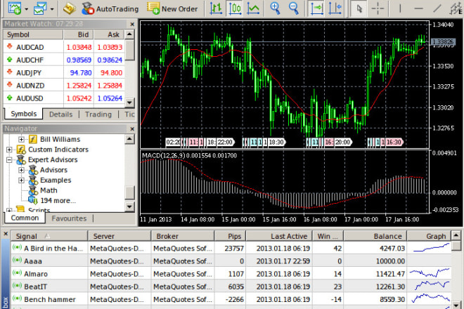 I will build a metatrader 4 mt4 indicator or expert advisor forex robot ea