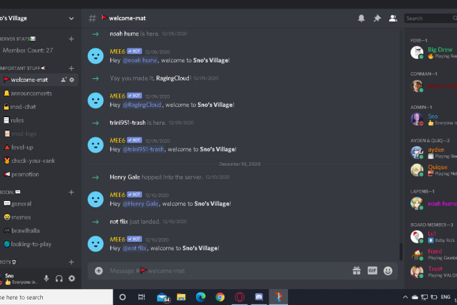 I will create a custom discord server