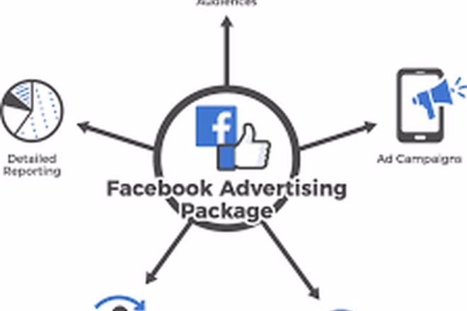 I will create optimize and manage facebook ads champion