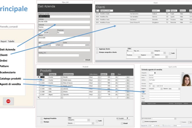 I will database access with report and graphics