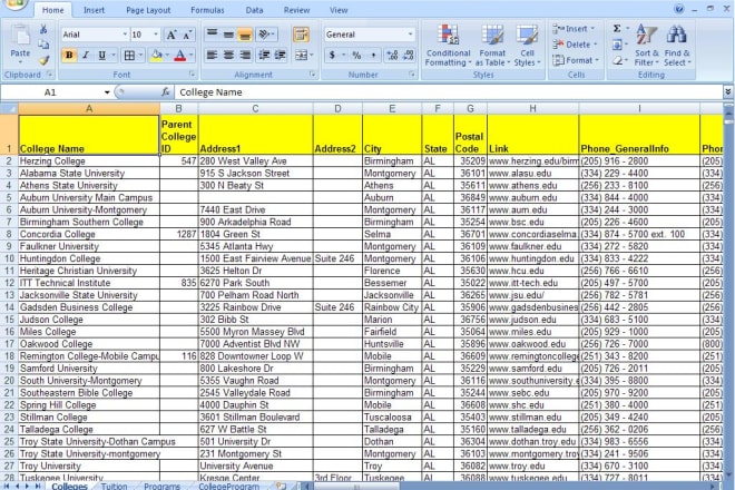 I will do data entry, web research word,excel,visio,pp,access