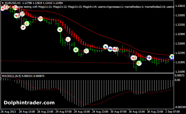 I will do forex ea robot and be your expert programmer for mt4, mt5