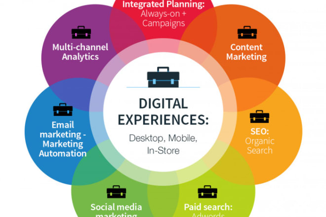 I will do social media promotion for your products