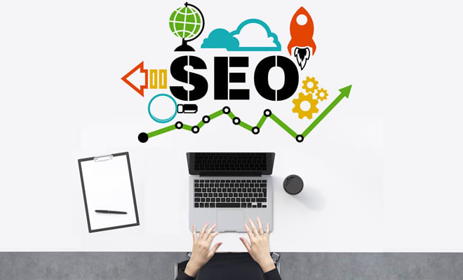 I will rank your website on google search