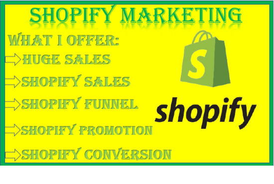 I will setup klaviyo shopify marketing fb ads USA traffic shopify ROI sales promotion