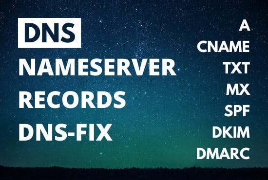 I will update any dns a, cname, mx, txt, spf records and nameserver