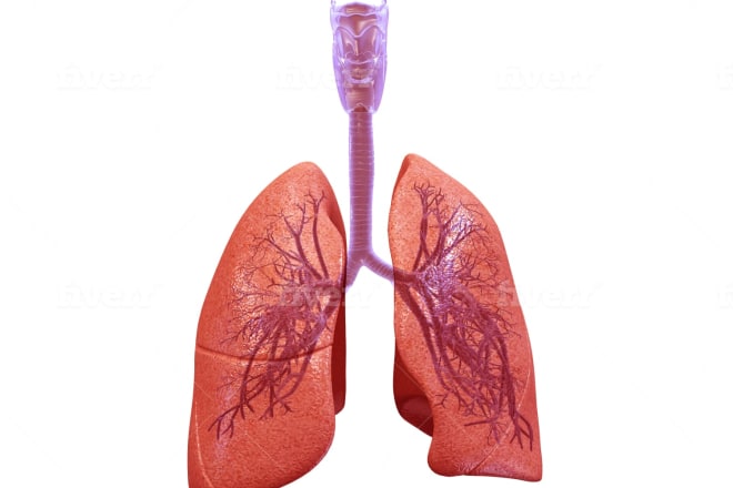 I will do all 3d medical illustrations for you
