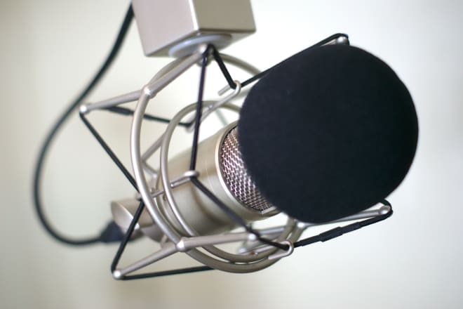 I will be your pro female voice talent, affordable and hq