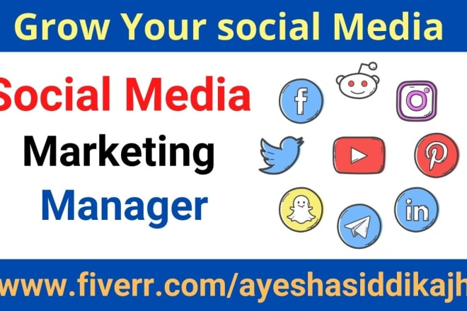 I will be your social media marketing manager