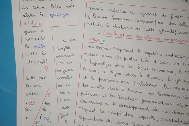 I will become a professional in translation services