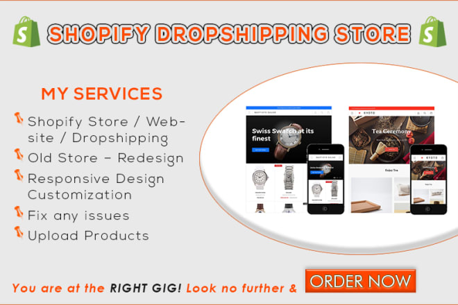 I will build aliexpress dropshipping shopify store or shopify website