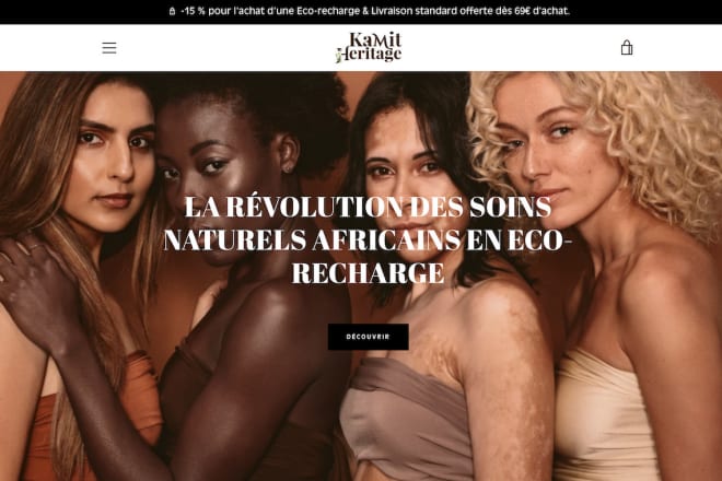I will build high converting shopify dropshipping store for english and french market