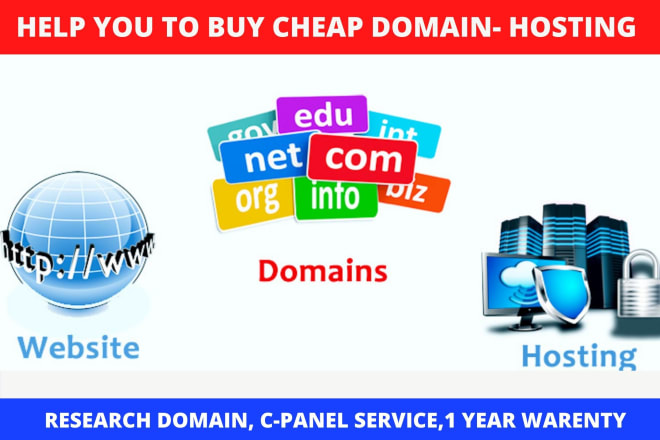 I will buy domain and hosting for your business with cheap price