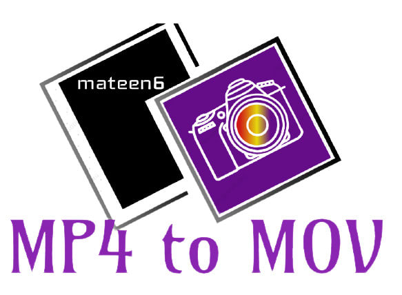 I will convert video to flv mov avi mp4 mpg wmv swf youtube mp3