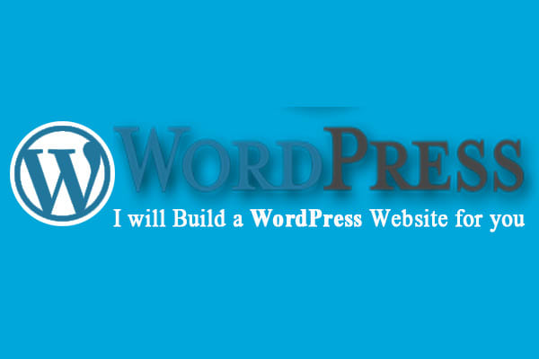 I will create a professional business wordpress website