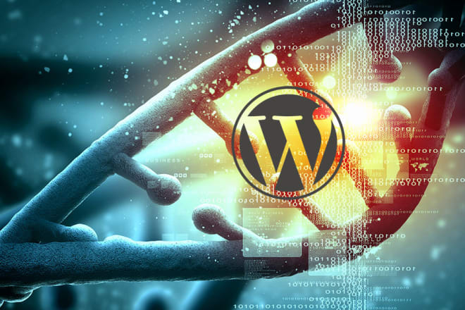 I will create responsive website, website design