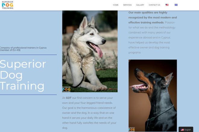 I will create wordpress portfolio website onlineshop landing page