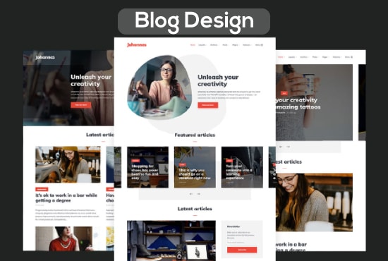 I will design a professional wordpress blog or website