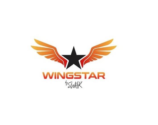I will design original wing star logo with satisfaction guaranteed