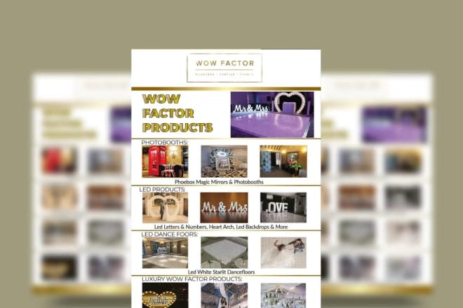 I will design professional catalog, magazines, and flipbook