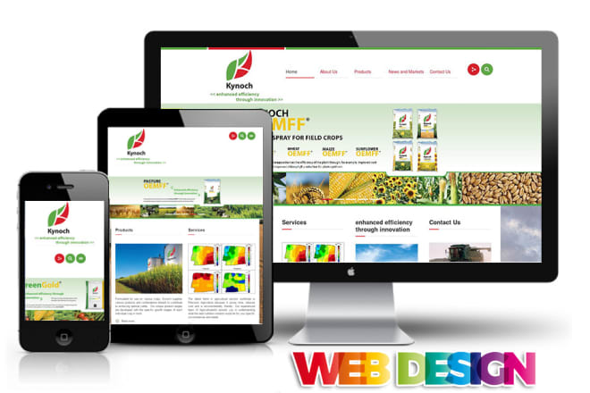 I will design professional websites plus web hosting and SSL