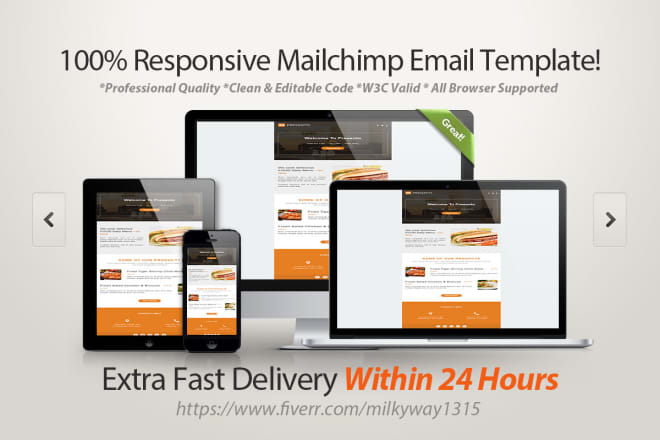 I will design responsive mailchimp email template