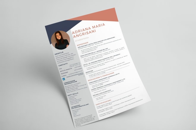 I will design your professional CV