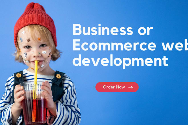I will develop wordpress website business company industry etc