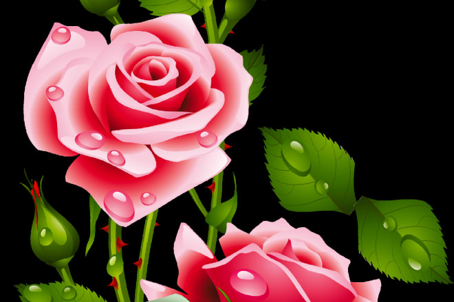 I will do all type of textile designs and patterns