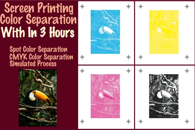 I will do color separation for screen printing within 3hour