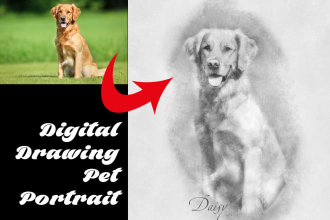I will do custom dog portrait, pet portrait digital drawing