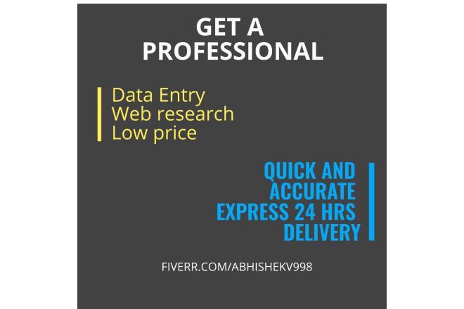 I will do data entry at low price
