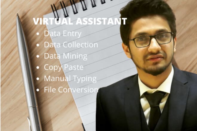 I will do data entry, data mining, data scraping services
