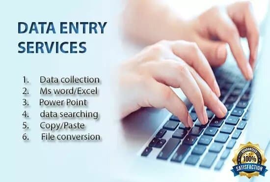 I will do data entry microsoft office transcription translation work