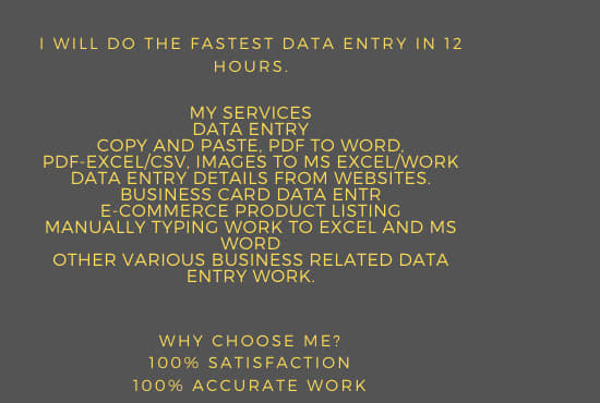 I will do fastest data entry jobs or excel data entry in 12 hours