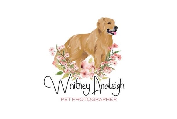 I will do modern professional animal and pet farm logo design with new concept
