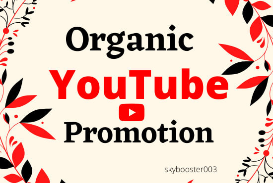 I will do organic youtube promotion for your video