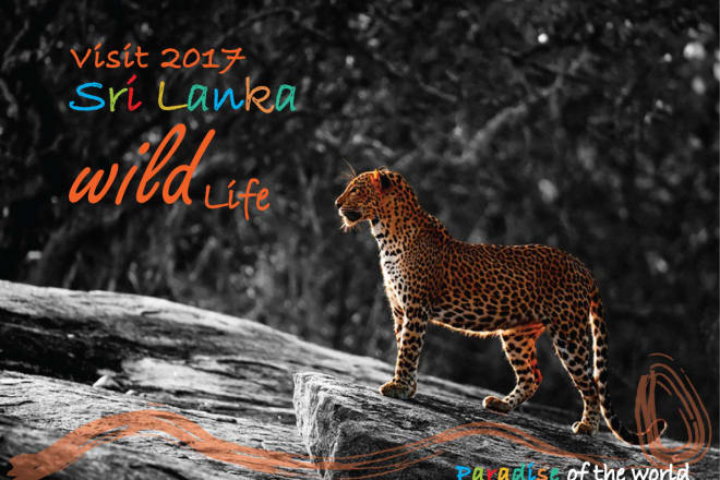 I will do photoshop and illustrator works