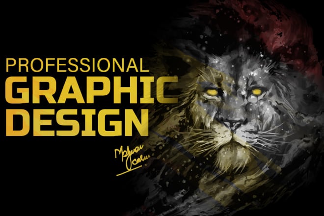 I will do professional graphic design and redesign work