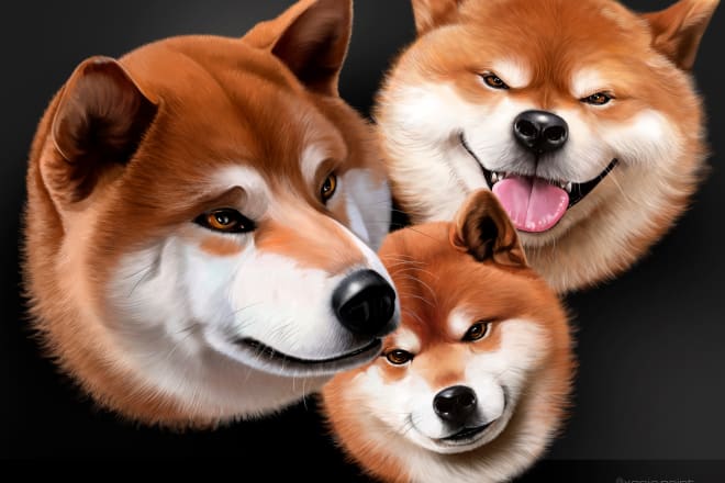I will do realistic animal drawing