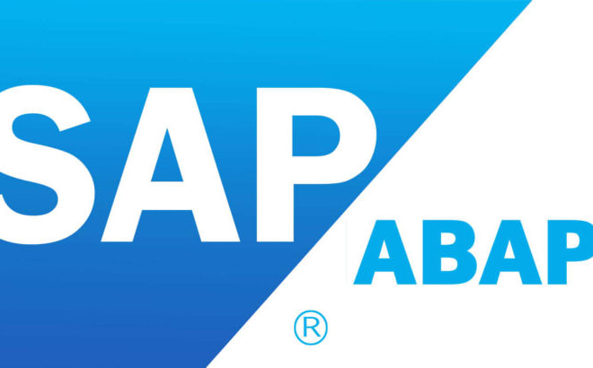 I will do sap abap consultation for you
